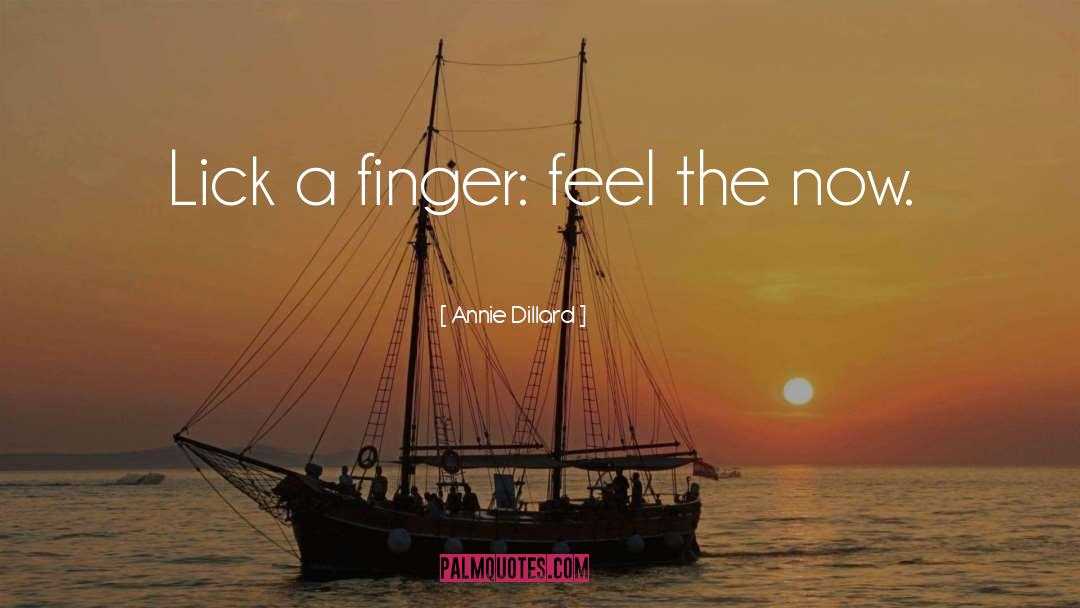 Lick quotes by Annie Dillard