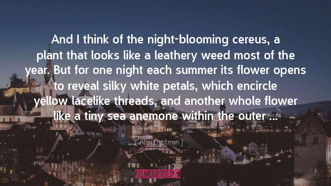 Lickness Flower quotes by Alan Lightman