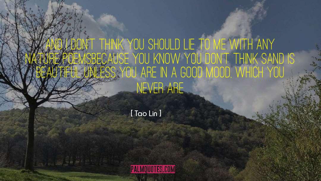 Lie To Me quotes by Tao Lin