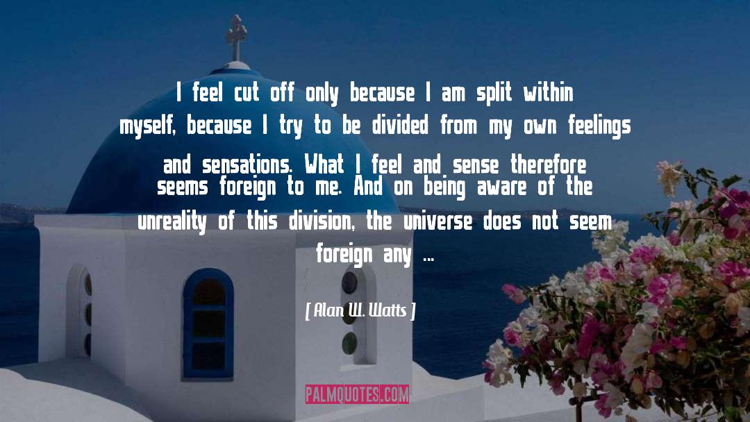 Lied To Me quotes by Alan W. Watts