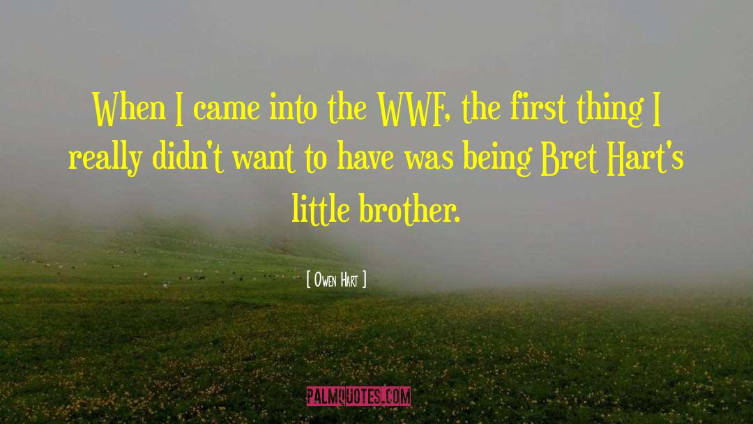 Liesels Brother quotes by Owen Hart