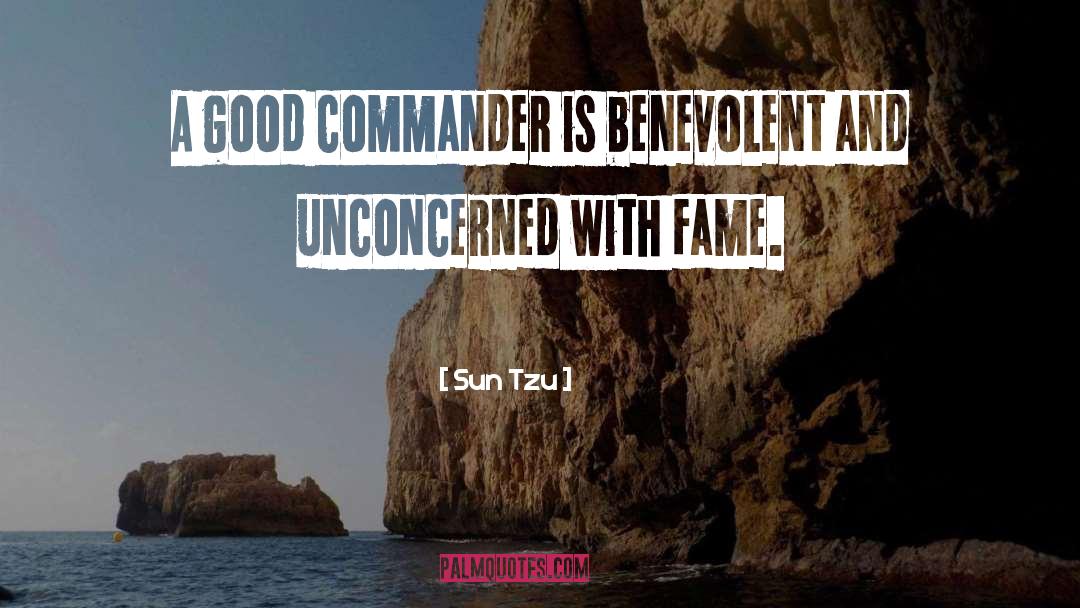 Lieutenant Commander quotes by Sun Tzu