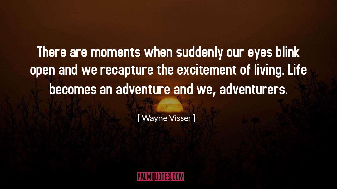 Life Adventure quotes by Wayne Visser