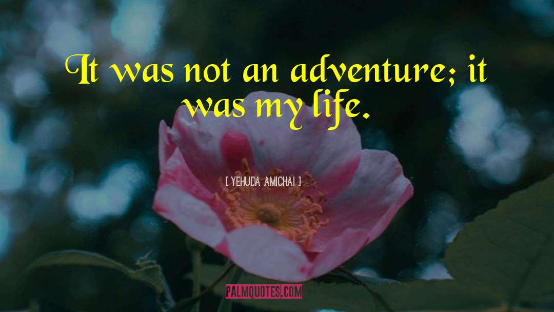 Life Adventure quotes by Yehuda Amichai