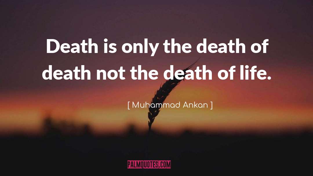 Life After Death quotes by Muhammad Ankan