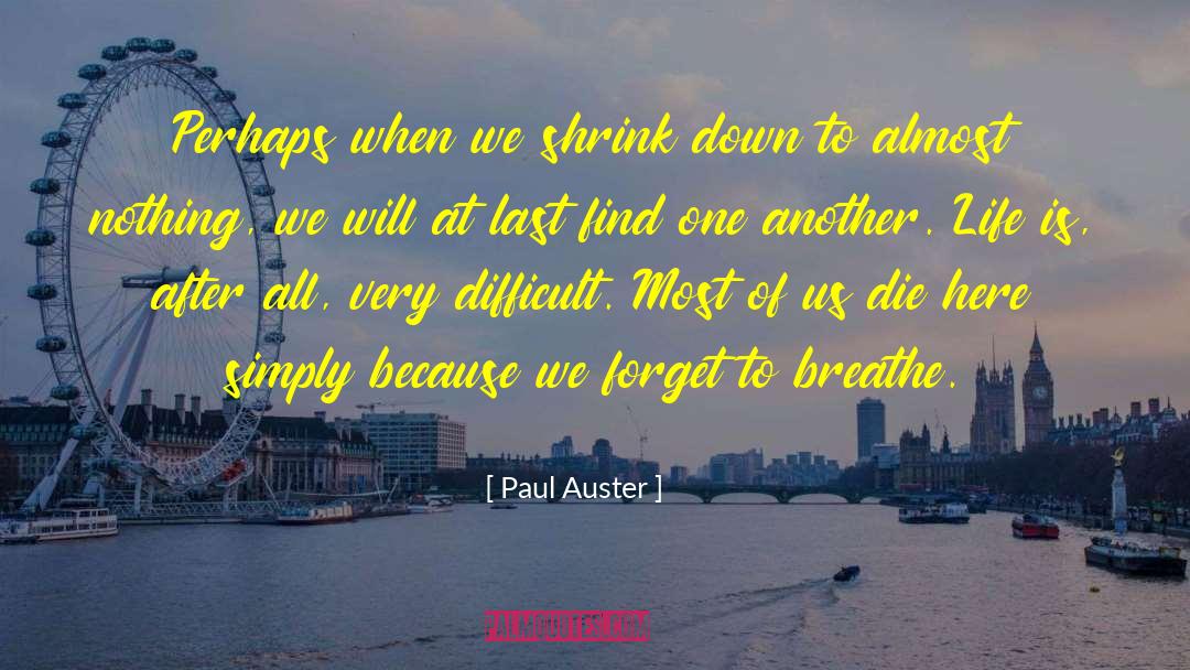 Life After Divorce quotes by Paul Auster