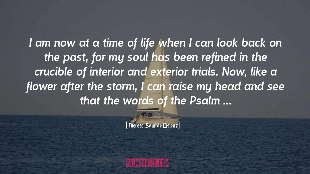 Life After The Storm quotes by Therese, Saint De Lisieux