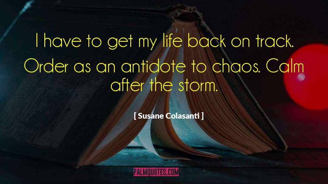 Life After The Storm quotes by Susane Colasanti