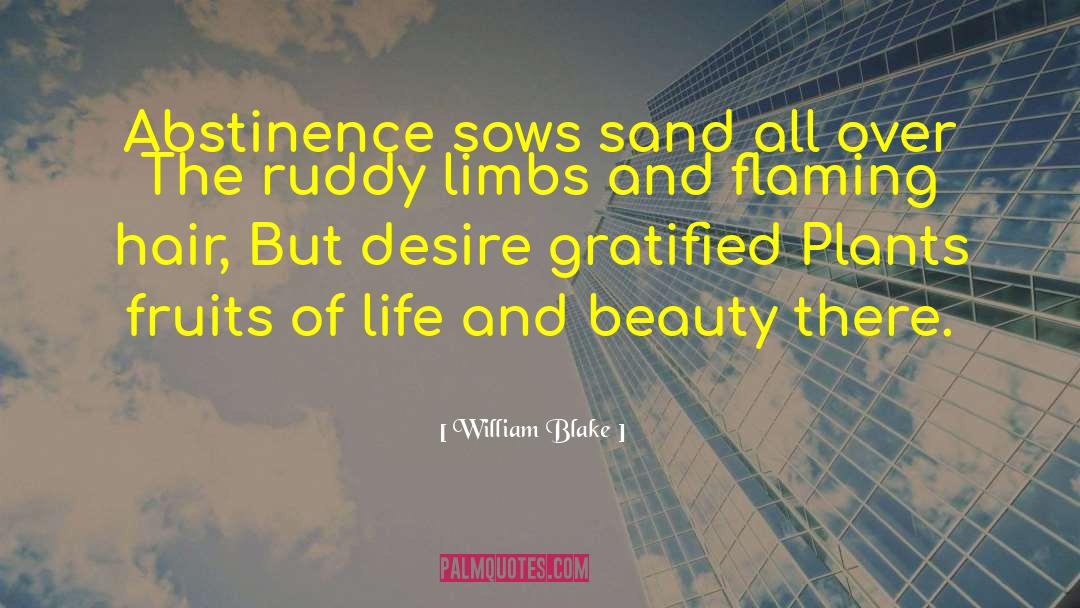 Life And Beauty quotes by William Blake