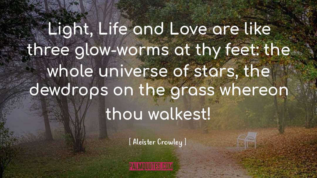 Life And Love quotes by Aleister Crowley