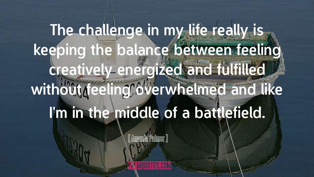 Life Balance quotes by Amanda Palmer