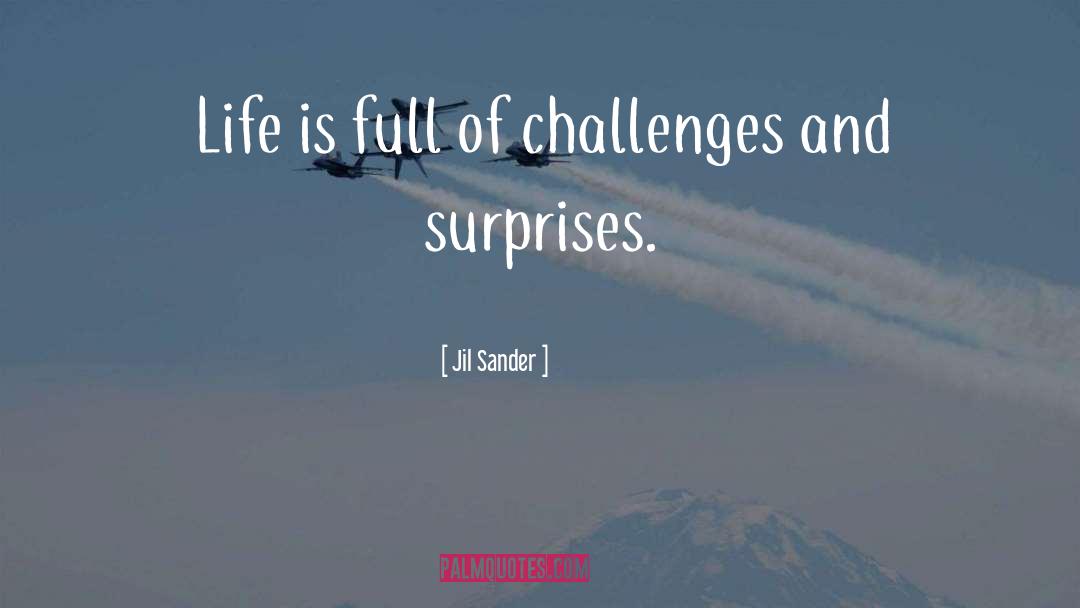 Life Challenges quotes by Jil Sander