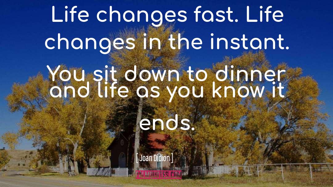 Life Changes You Lose Love quotes by Joan Didion