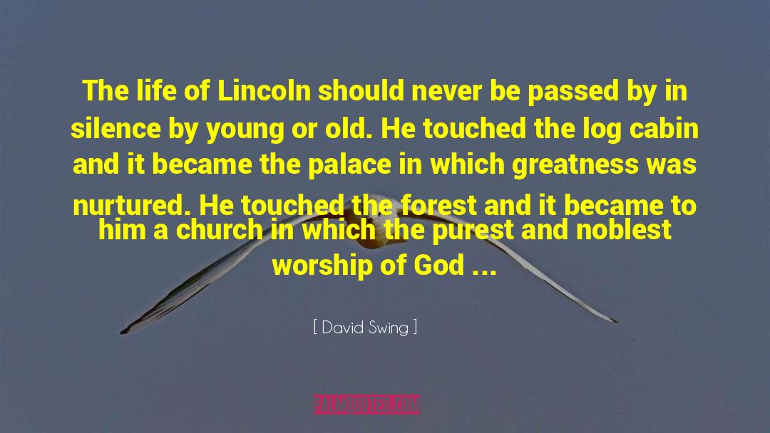 Life Church quotes by David Swing