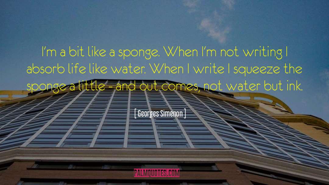 Life Crumbling quotes by Georges Simenon