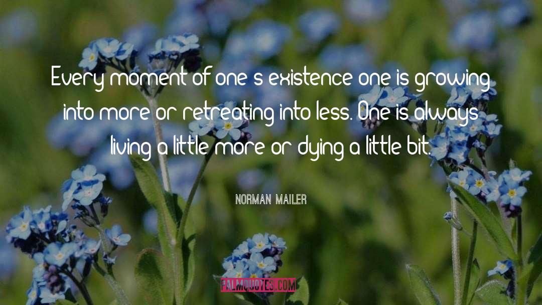 Life Death Average quotes by Norman Mailer