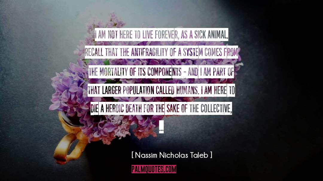 Life Death Creator quotes by Nassim Nicholas Taleb