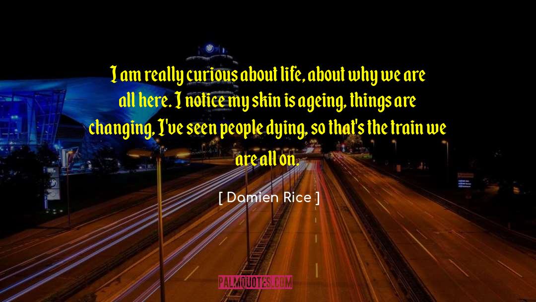 Life Denying quotes by Damien Rice