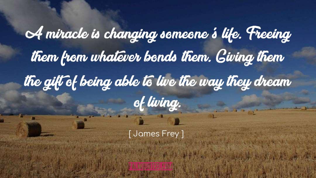 Life Destiny quotes by James Frey
