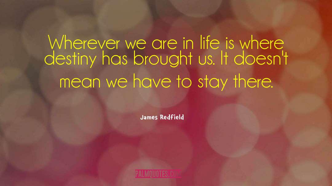 Life Destiny quotes by James Redfield