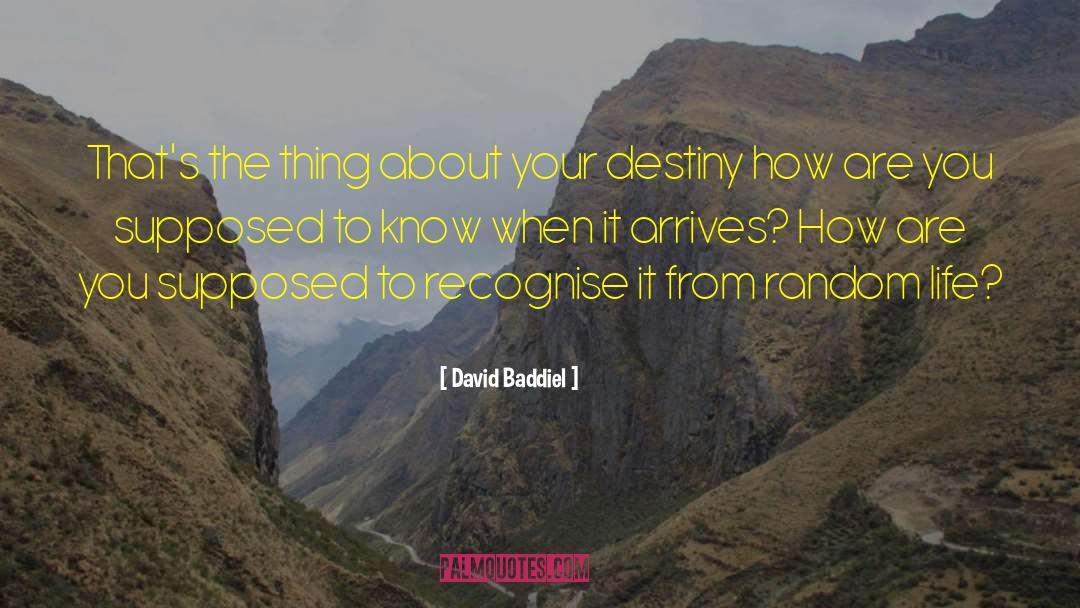Life Destiny quotes by David Baddiel