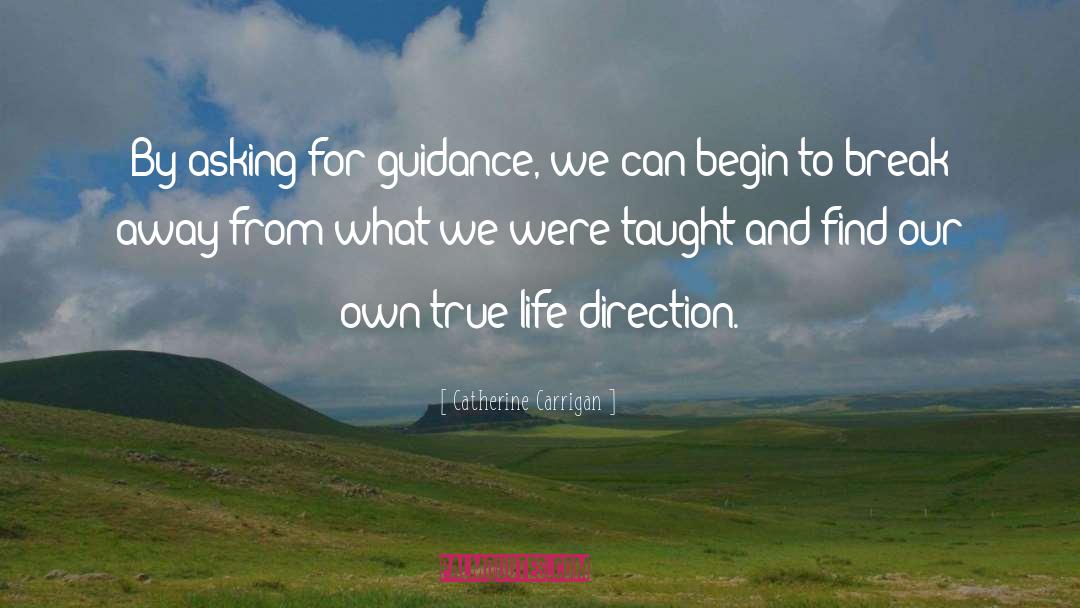 Life Direction quotes by Catherine Carrigan