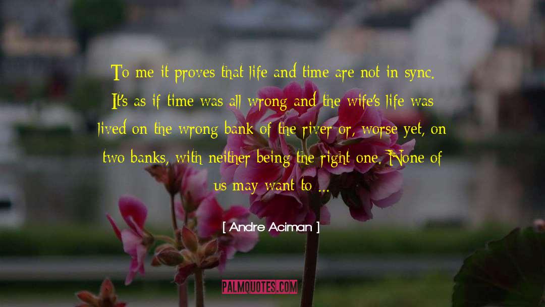 Life Doesnt Wait For Anyone quotes by Andre Aciman