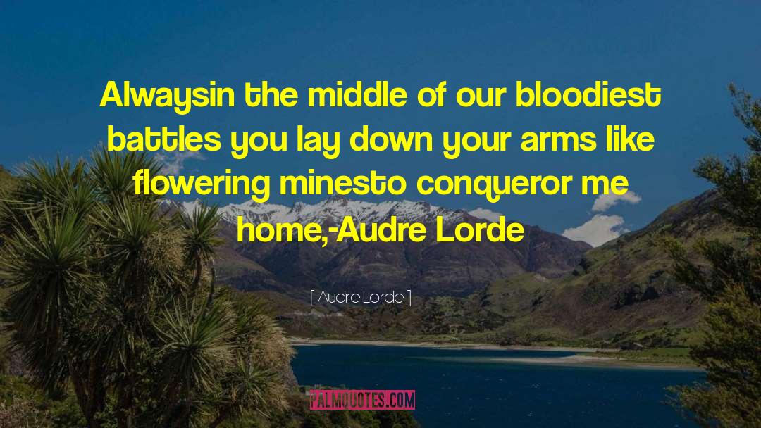 Life Down Lay quotes by Audre Lorde
