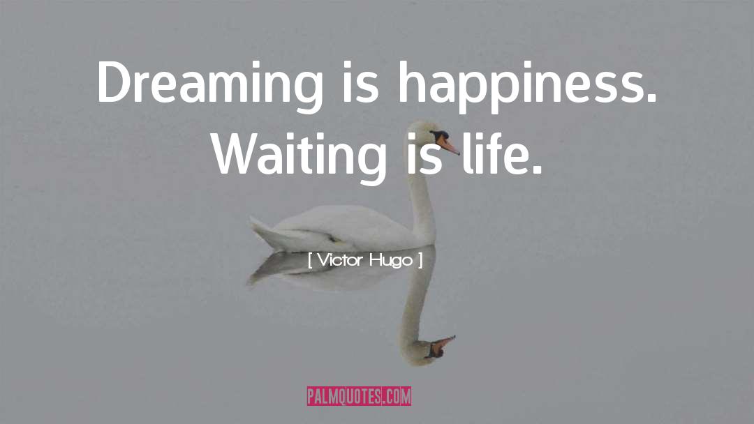 Life Dream quotes by Victor Hugo