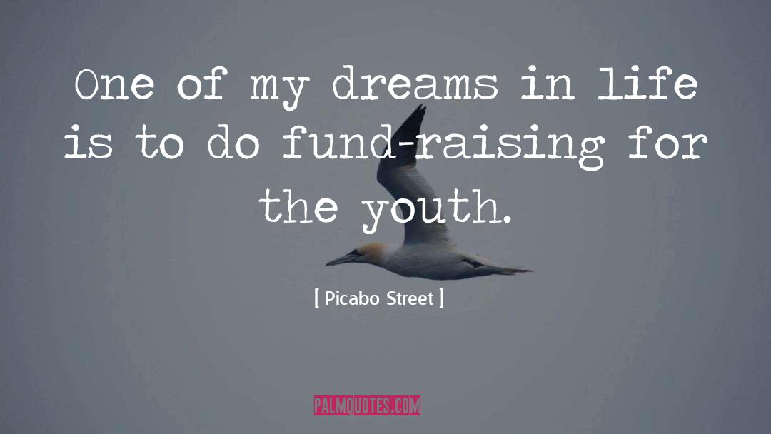 Life Dreams quotes by Picabo Street