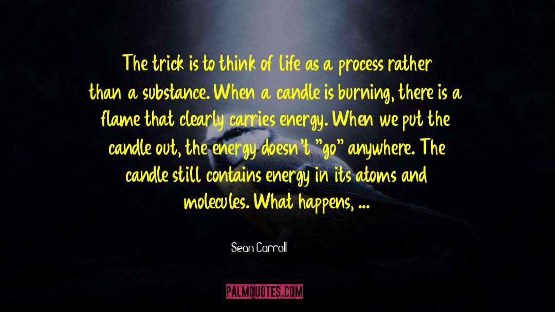 Life Ends quotes by Sean Carroll