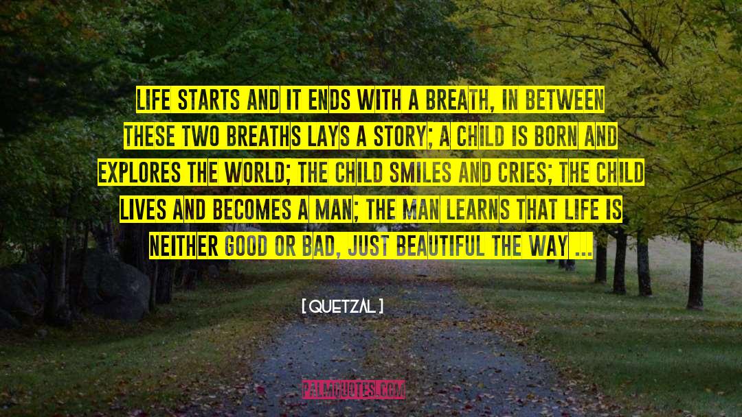 Life Ends quotes by Quetzal