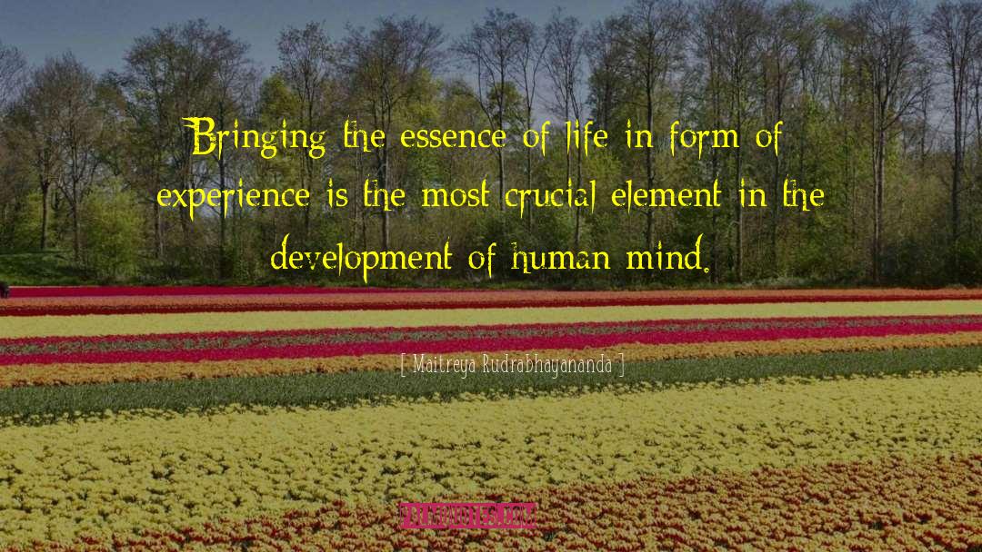 Life Experience Experience quotes by Maitreya Rudrabhayananda