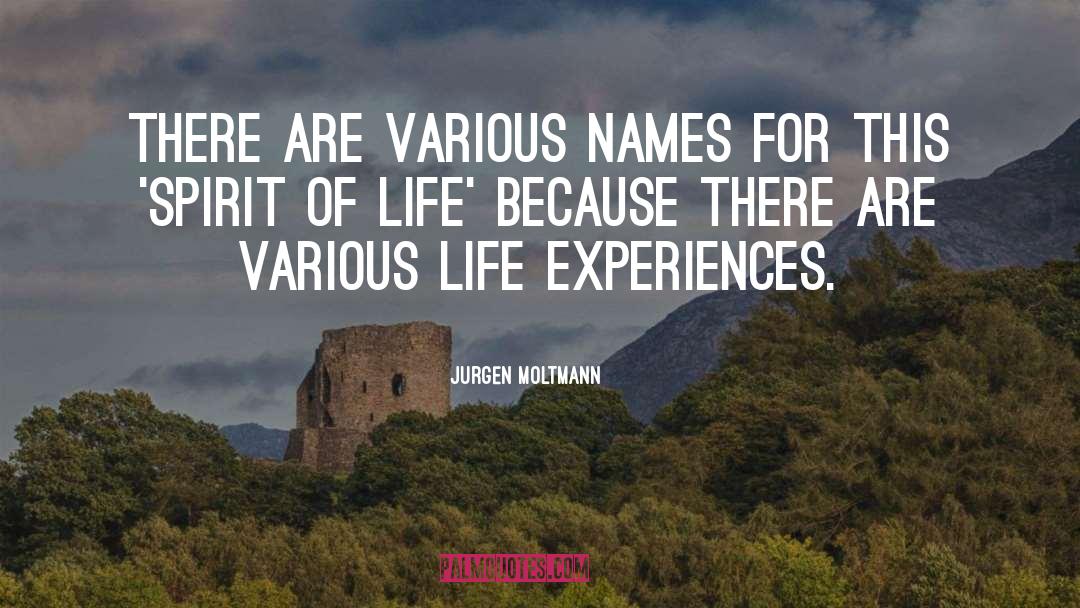 Life Experience quotes by Jurgen Moltmann