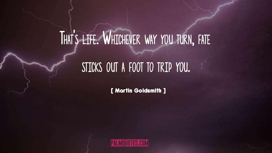 Life Fate quotes by Martin Goldsmith