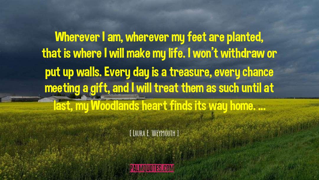 Life Finds Its Meaning quotes by Laura E. Weymouth