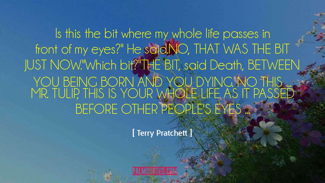 Life Flashes Before Your Eyes quotes by Terry Pratchett