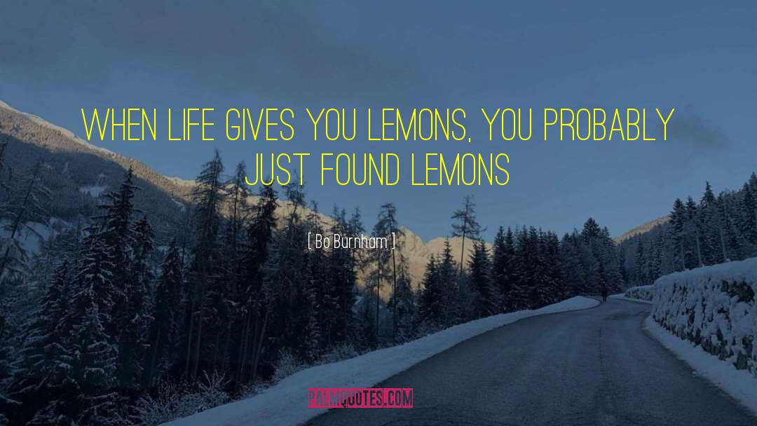 Life Gives You Lemons quotes by Bo Burnham