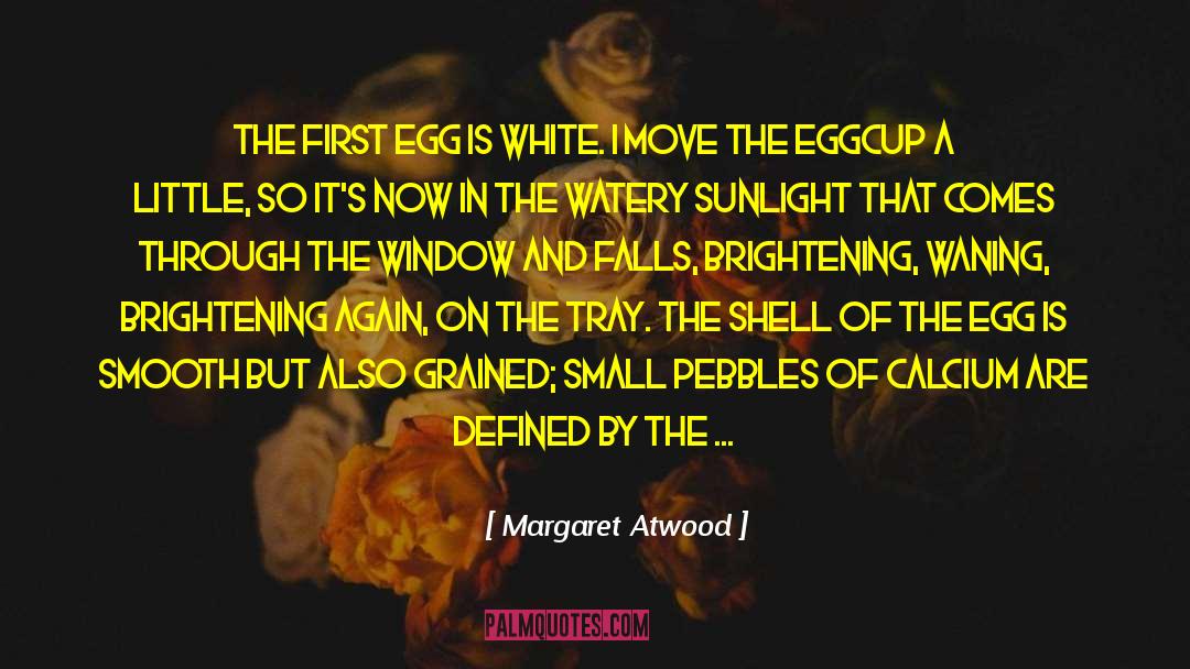 Life Goes By Quickly quotes by Margaret Atwood