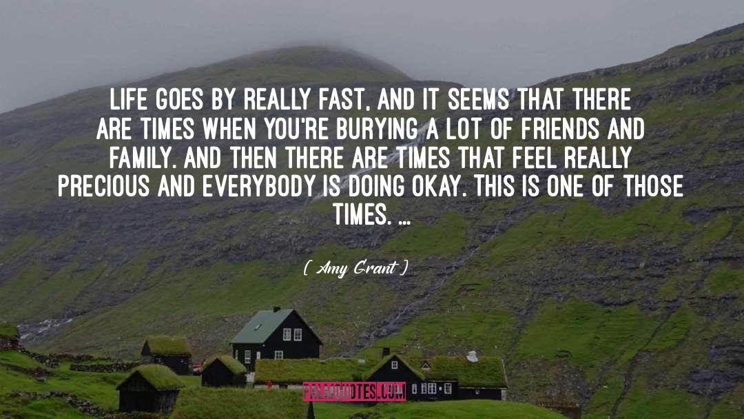Life Goes By quotes by Amy Grant