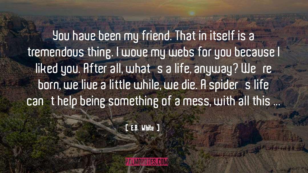 Life Has A Tremendous Value quotes by E.B. White