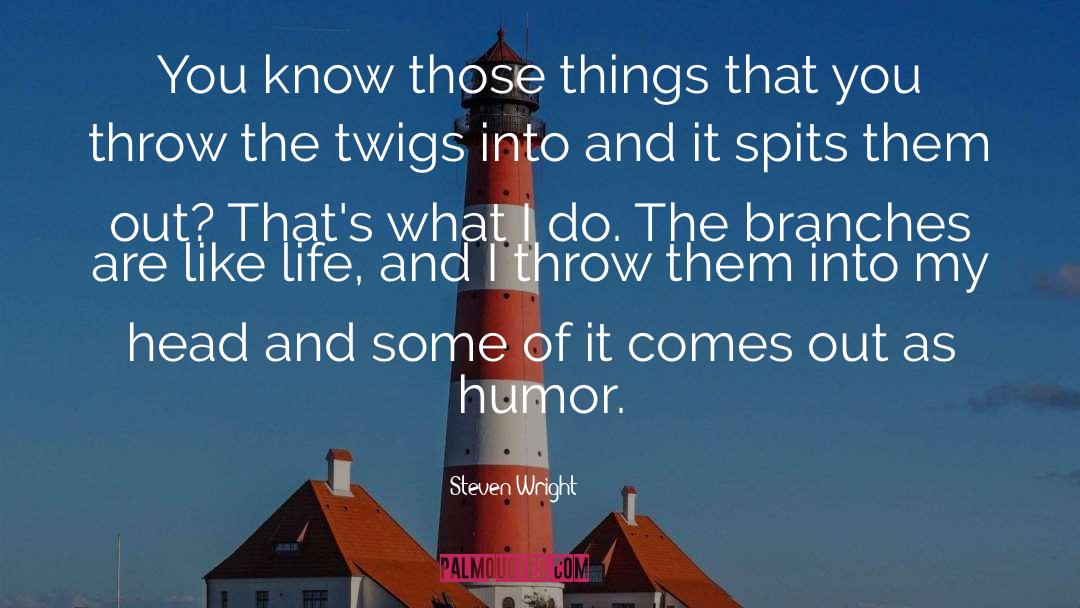 Life Humor quotes by Steven Wright