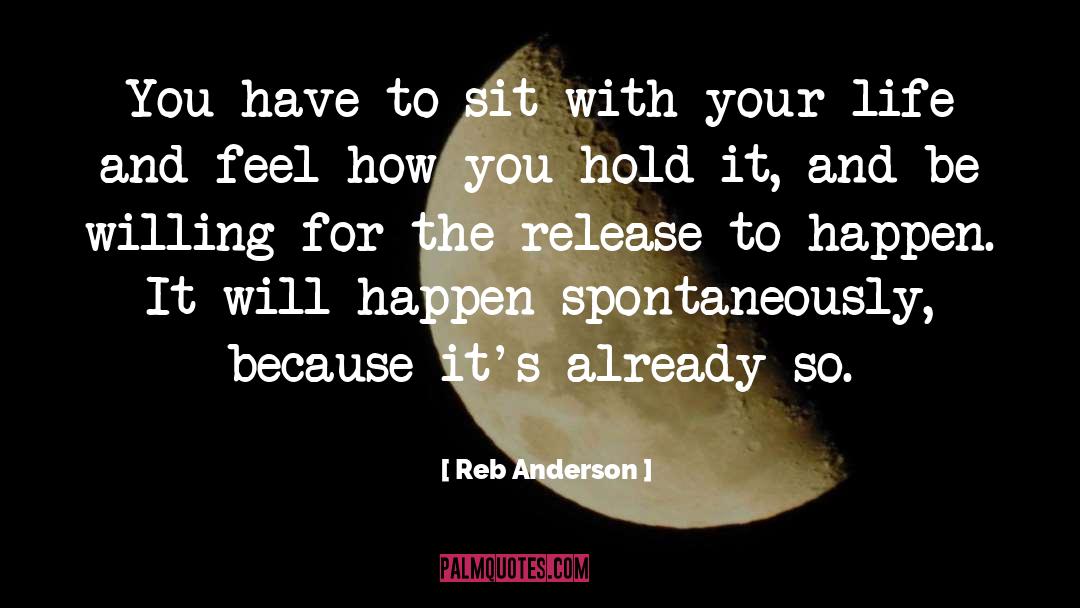 Life Hurdles quotes by Reb Anderson