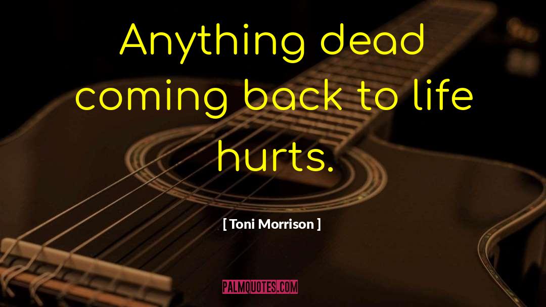 Life Hurts quotes by Toni Morrison