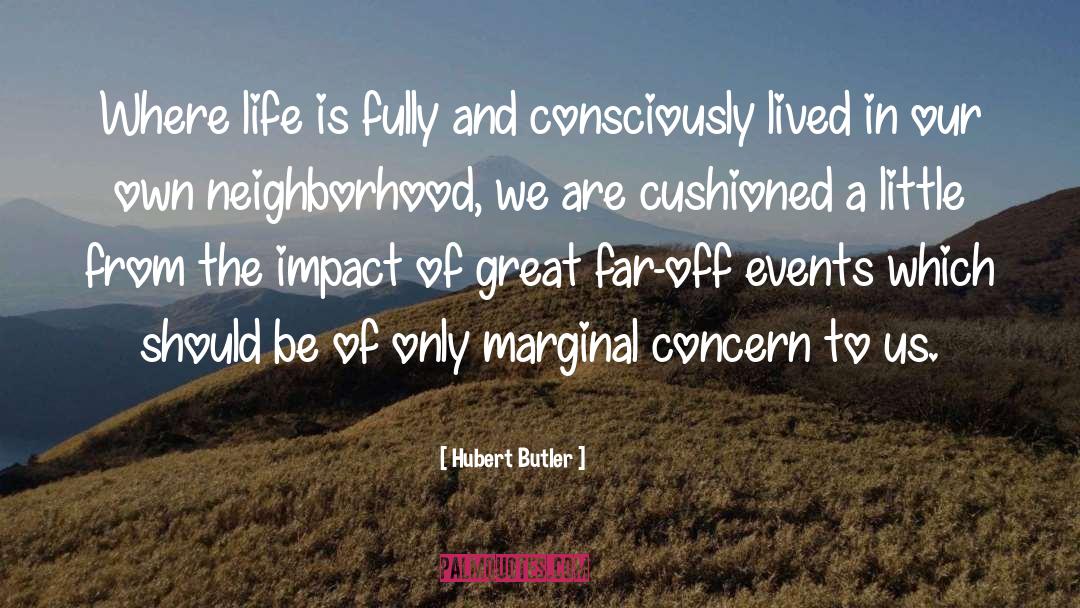 Life In America quotes by Hubert Butler