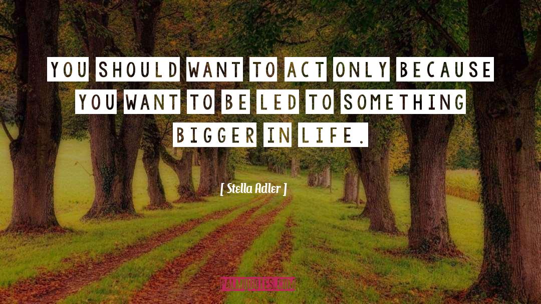 Life In America quotes by Stella Adler
