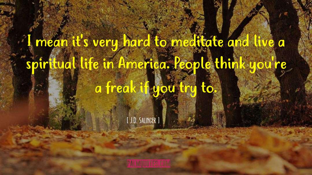 Life In America quotes by J.D. Salinger