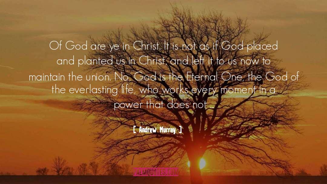 Life In Christ quotes by Andrew Murray