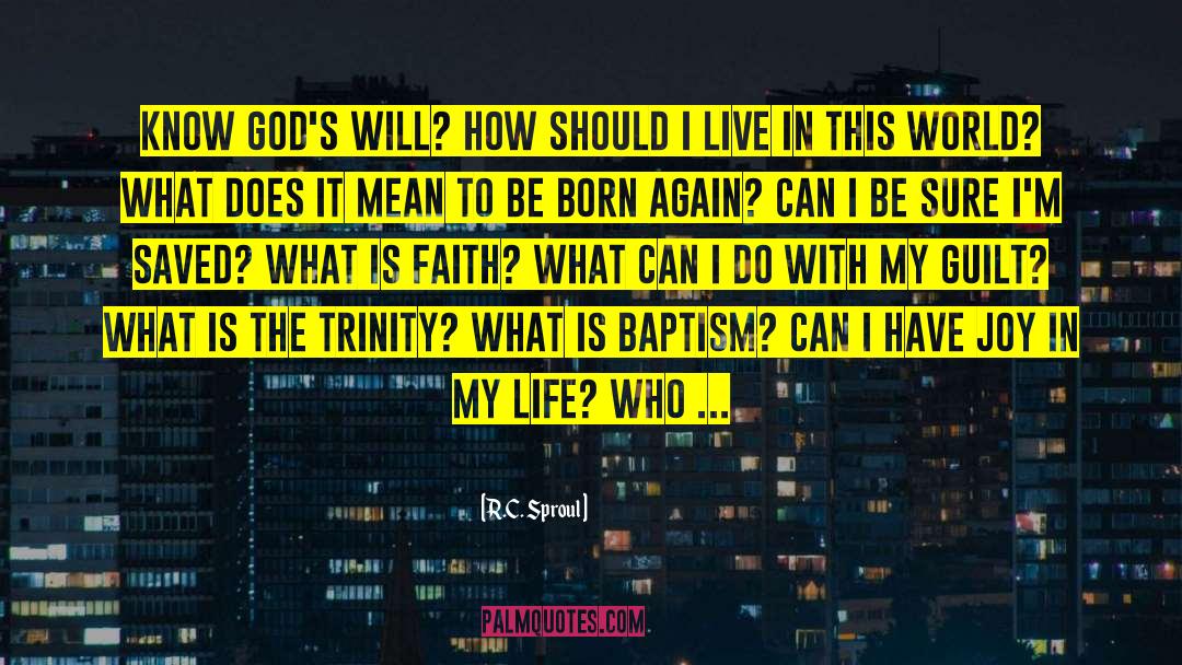 Life In City quotes by R.C. Sproul