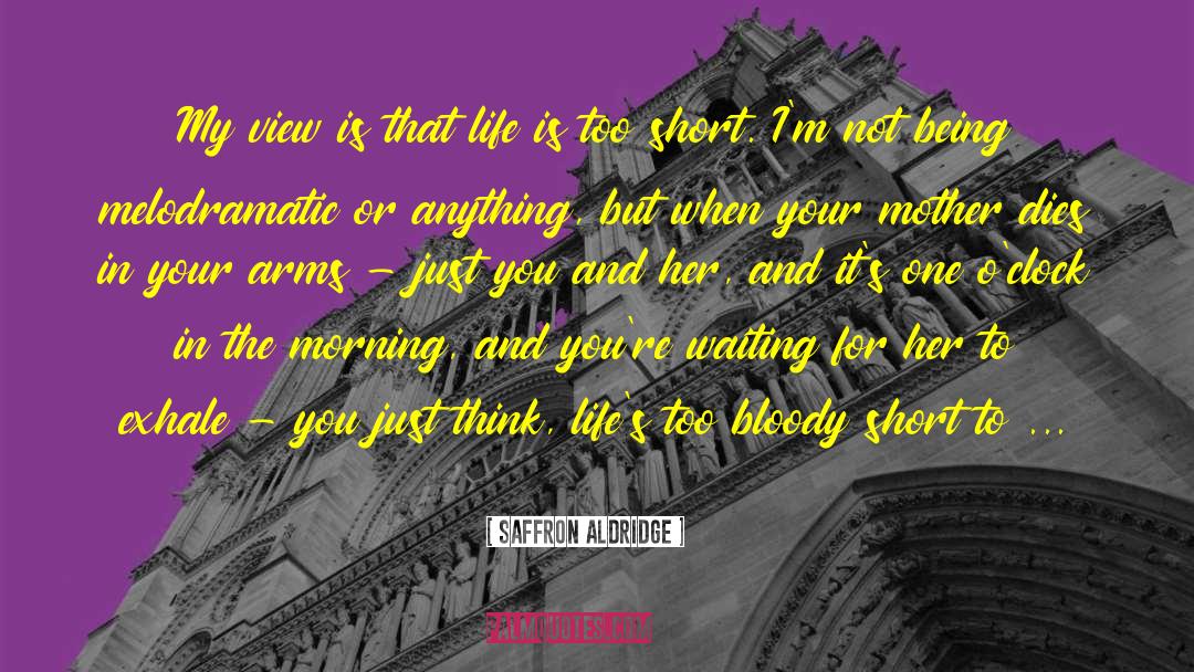 Life In Short quotes by Saffron Aldridge